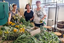 15.08.2025 Kräutersegnung zu Mariä Himmelfahrt